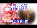 井上忠夫 / 水中花