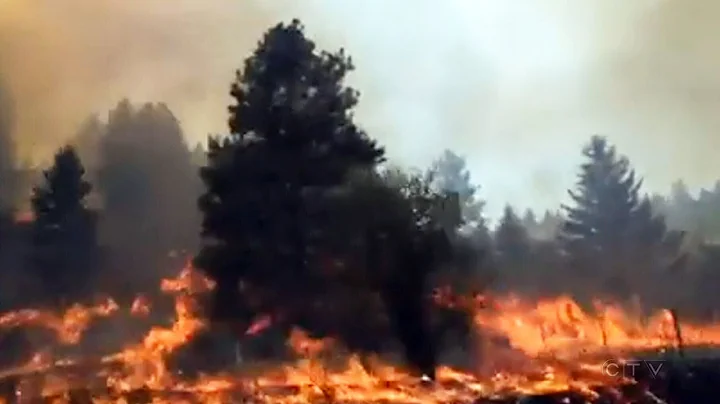 B.C. wildfires: Homes destroyed, hundreds flee blaze