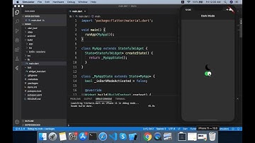 Flutter dynamic theme #clever #flutter