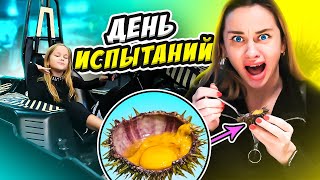 ДЕНЬ ИСПЫТАНИЙ // ДЕЛАЕМ ТО ЧТО НИКОГДА НЕ ДЕЛАЛИ // EVA mash