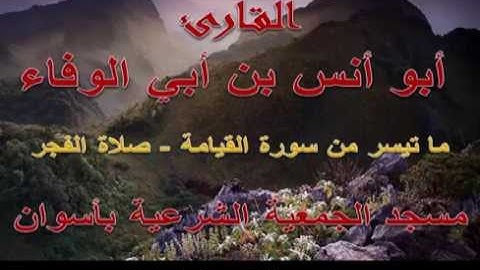 أبو أنس بن أبي الوفاء - ما تيسر من سورة القيامة - رمضان 1435