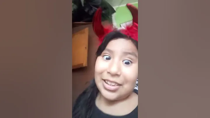 Cmo alimentar a tu perro