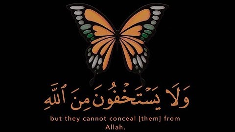 قران كريم | سورة النساء | القارئ ناصر القطامي | تلاوة خاشعة😌❤️ | حالات واتس اب قران