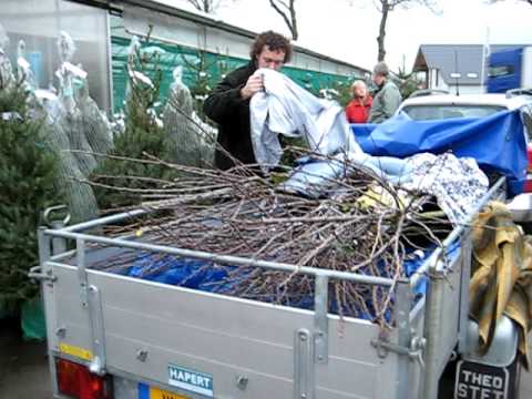 Video: Kortkoektert Met Appels En Pruime