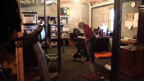 Tynamite -10 Part Behavior Chain