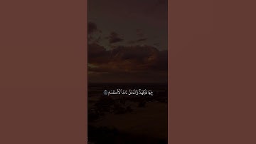 تلاوة رائعة من سورة الرحمن/ الشيخ عبدالباسط عبدالصمد رحمه الله