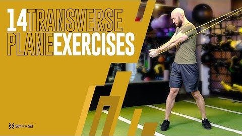 14 Transverse Plane Exercises (Rotational & Anti-Rotational)