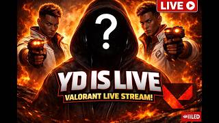 VALORANT BRONZE TO GOLD NON-STOP ENTERTAINMENT | #gaming #valorant