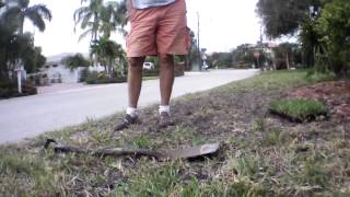 Sneak up on neighbor with AR Drone