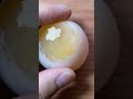 Cảnh nổi bật từ buổi phát trực tiếp