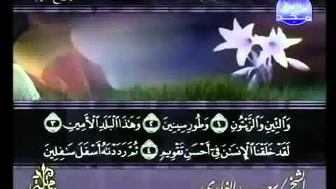 سورة التين كاملة الشيخ المقرئ سعد الغامدي