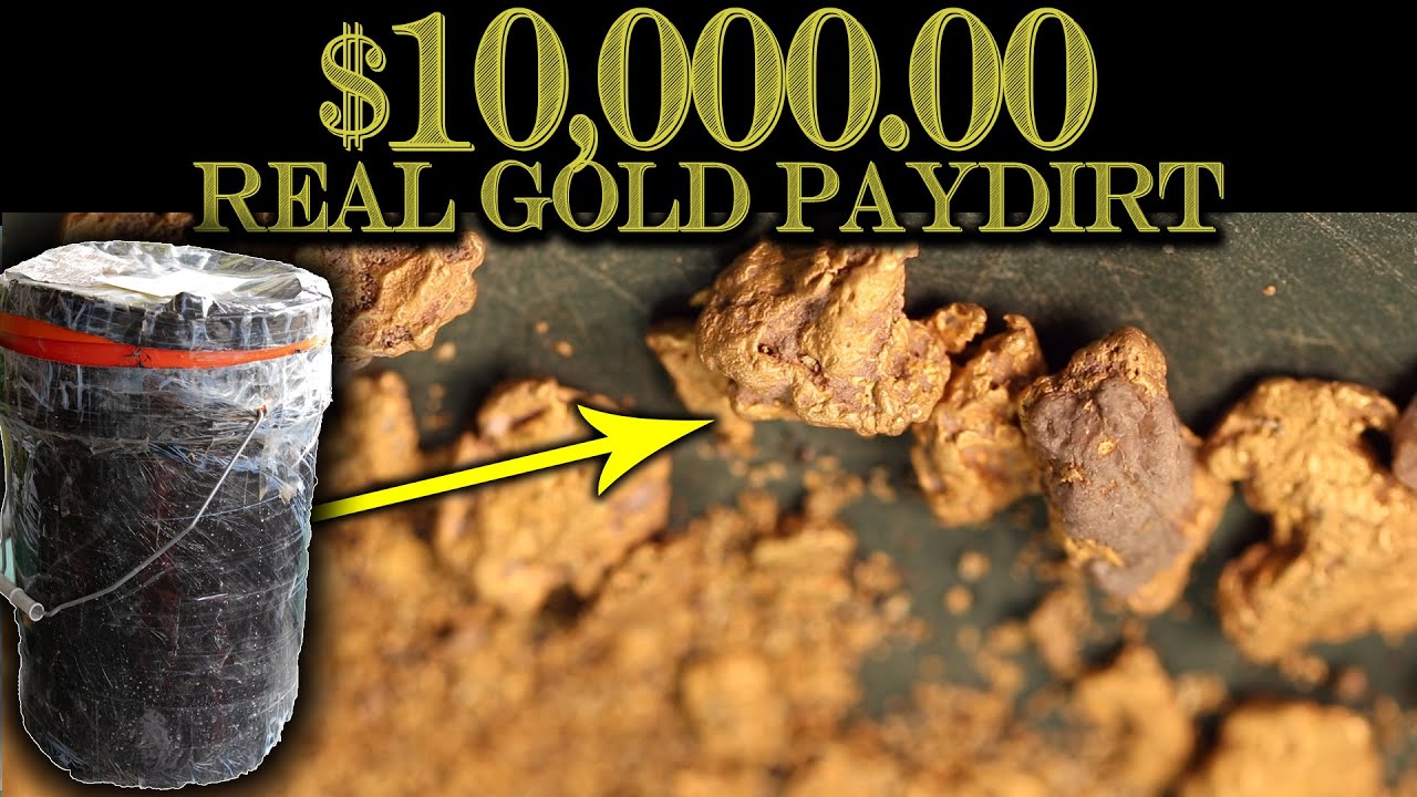 $10,000.00 GOLD BUCKET OF PAYDIRT (The Most Expensive Ever!) 