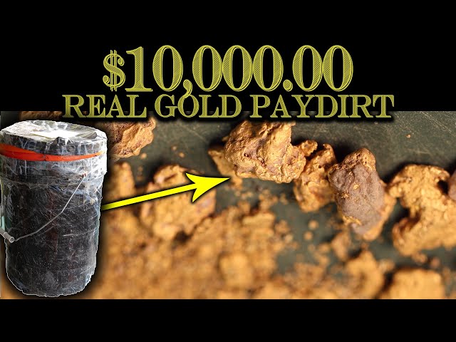 $1,000.00 Paydirt Bucket, I Got Ripped Off! (Extended version) - Lynch  Mining 