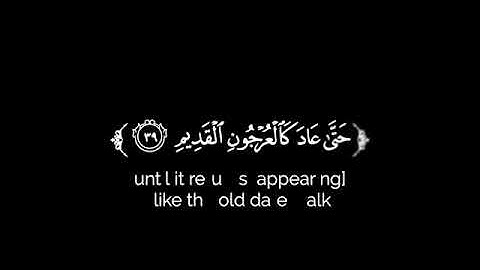 قرآن كريم 🌿 تلاوه من سوره يس🌿 القارئ عبدالله القرني 🌿