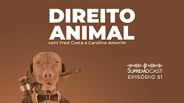 Qual foi a primeira lei para a proteção dos animais?