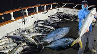 Night Bluefin Tuna Jigging & Day Yellowtail Flylining on Tomahawk San Diego