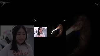 Catheez Main Game Horor Bikin Ngakakshort catheez