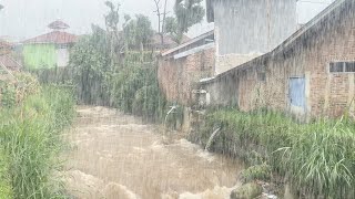 Heavy Rain and Almost Flooding with Thunder in the Village | Rainy Video for Insomnia