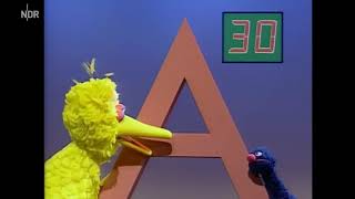 Celebrity Alphabet lernen –  Grobi sucht den Buchstaben A  –  Sesamstraße 👀 Net Worth