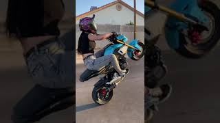 Girl crashes Grom trying to wheelie! #shorts screenshot 2