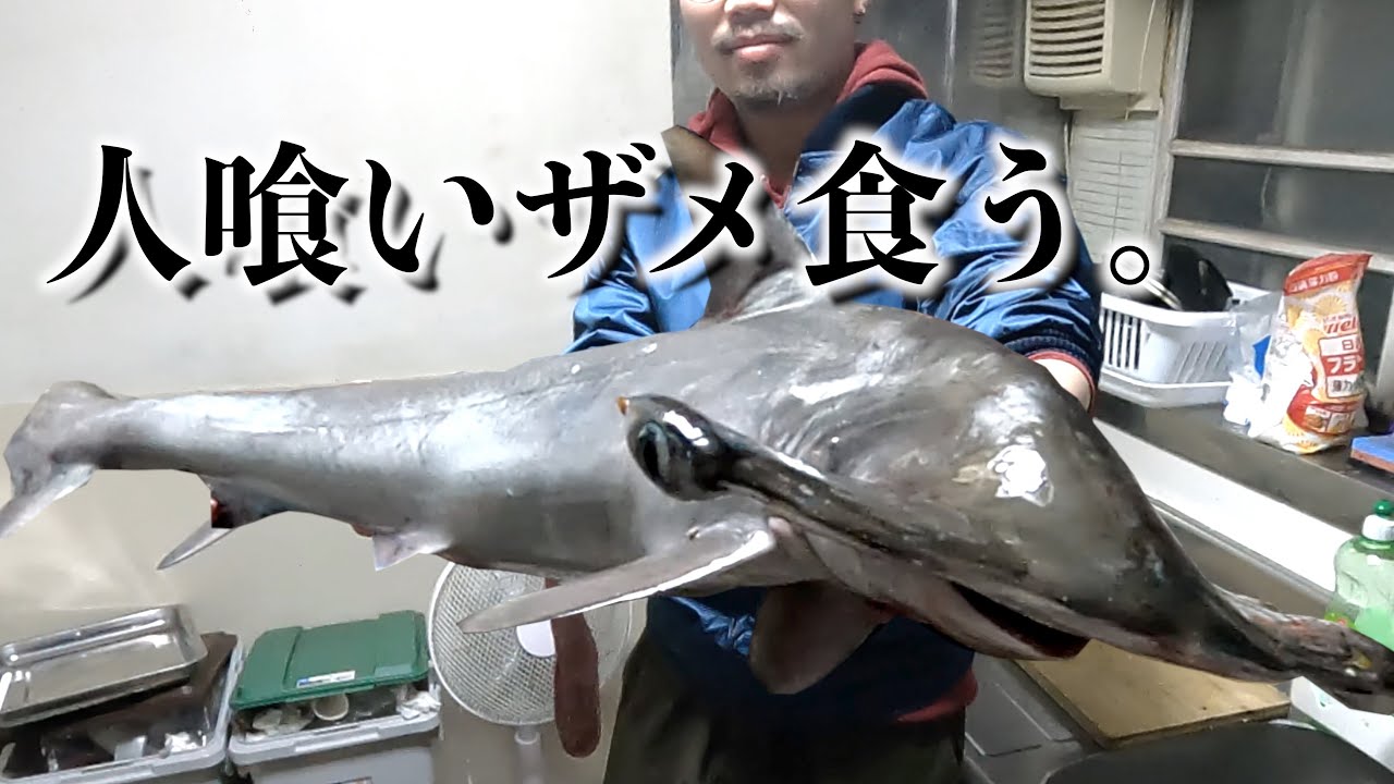 Hammerhead Shark] I caught a man-eating shark, so I'm going to eat