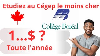 Etudiez au collège le moins cher en Français en Ontario en 2024 | Immigration Canada CIC