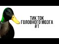 ТИК ТОК ГОЛОВНОГО МОЗГА #1