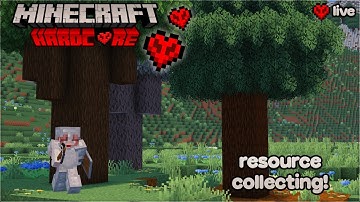 ⭐Grinding for our STARTER HOUSE!🩷 | hardcore minecraft livestream #2 🦋❤️