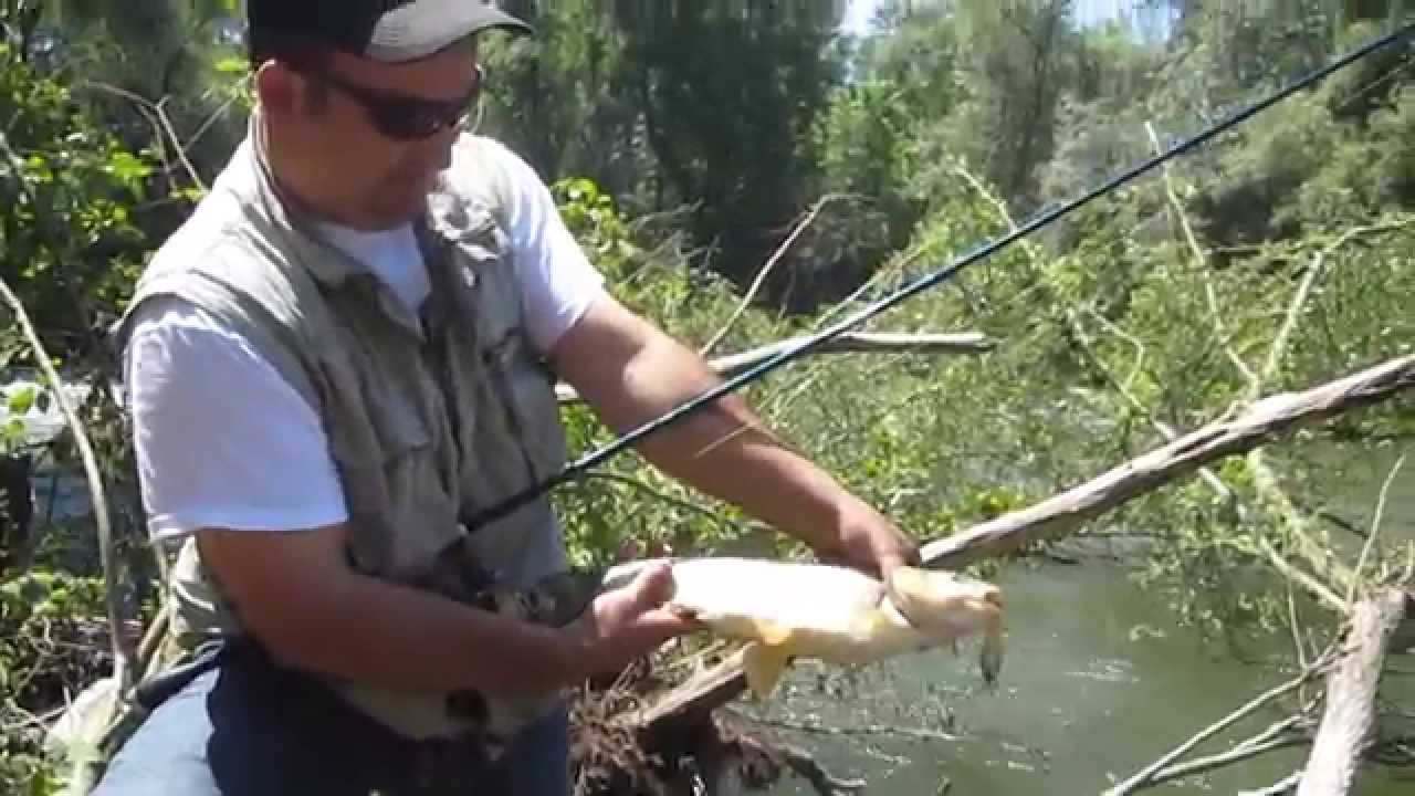 Mitko Todorov biggest chub YouTube