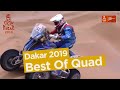 Best Of Quad - Dakar 2019