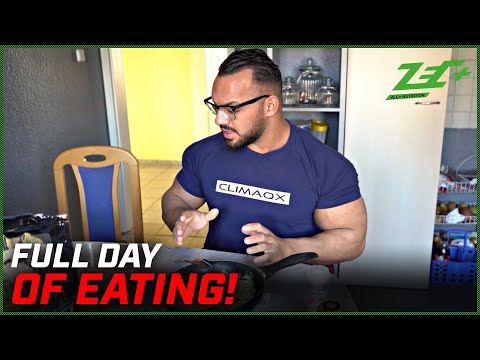 FULL DAY OF EATING | MEIN NEUER ERNÄHRUNGSPLAN