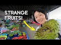 Trying exotic foodfruits in kuching sarawak borneo why does malaysia taste so good ep34