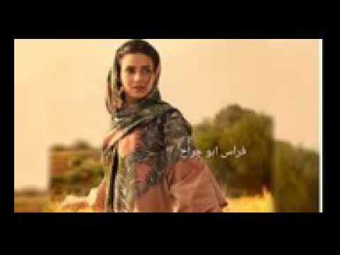 كنا انا وياك والثالث الليل ويضيع كل الليل بيني وبينك حنا تعودنا عبعضنا حيل هذا انا وليل بس انت وينك