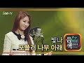 빛나 포플러 나무 아래 아이넷TV 음색 빛나 포플러 나무 아래 아이넷TV 음색