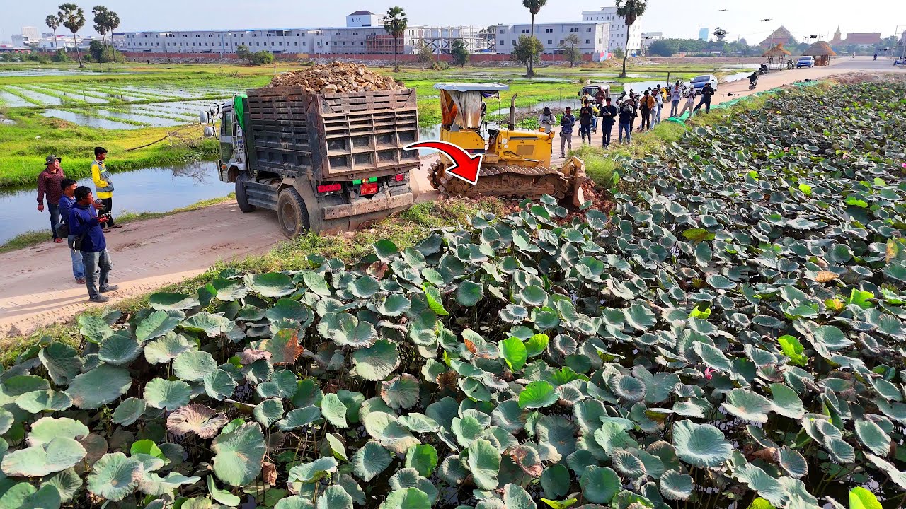 FIRST New Huge Project! Dump TRUCK 5Ton Fill Land into WATER, Bulldozer D31 K0MATSU Push Stone SOIL