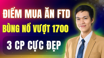 Cơ Hội Ăn FTD: Mua 3 Cổ Phiếu Mạnh Khi VNIndex Bứt Phá 1700