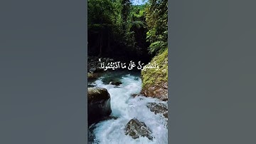 اكتب شيء تؤجر عليه #تلاوة_خاشعة #قران_كريم #قرآن #اكسبلور #المصحف #راحة_نفسية #duet #quran #لايك