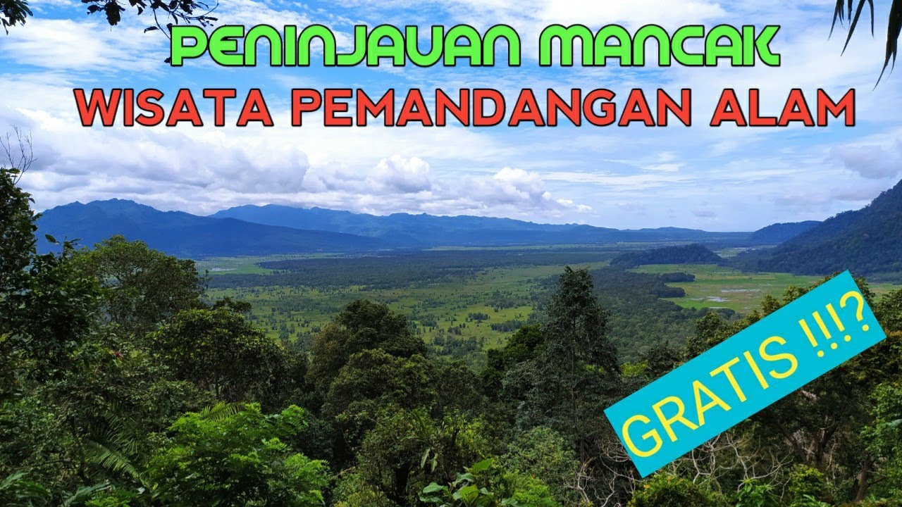 Wisata Rawa Dano Serang : Rawa Danau Rawa Yang Langka Di ...