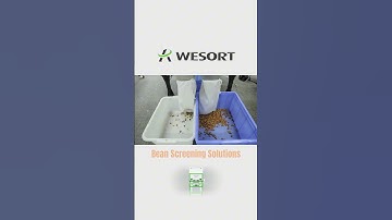 WESORT Beans Color Sorter Machine