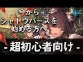 今からシャドウバースを始める方へ - 超初心者講座 -【ゼロから始めるシャドバ】