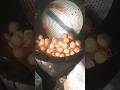 #panipuri #unlimitedpanipuri
