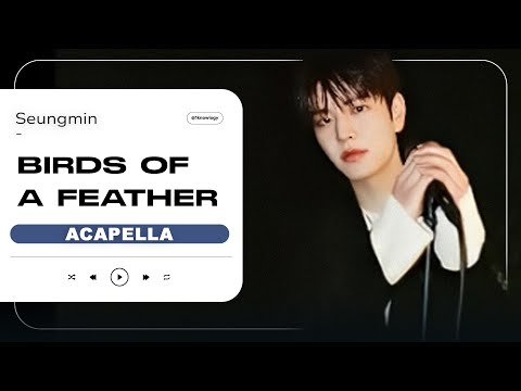 Seungmin BIRDS OF A FEATHER Song By Clean Acapella Vocals Only
