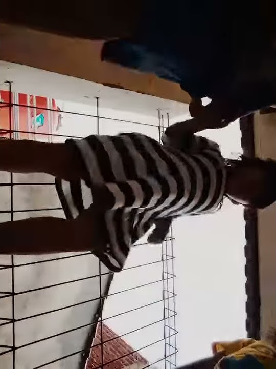 saha nu hitut gk ada yg ngaku