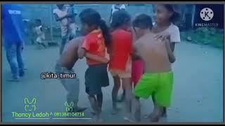 dansa timor story 8o6