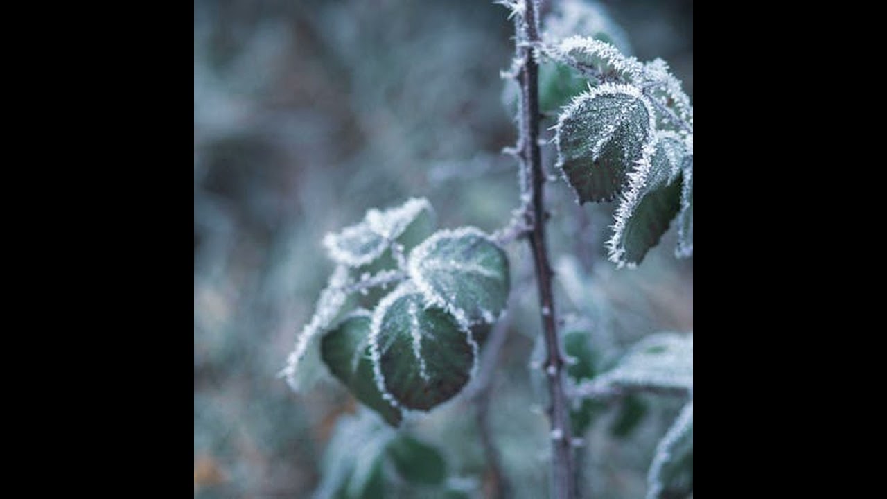 House burping. Freeze to death or burn to death? Brian's obsessed with 28-3.