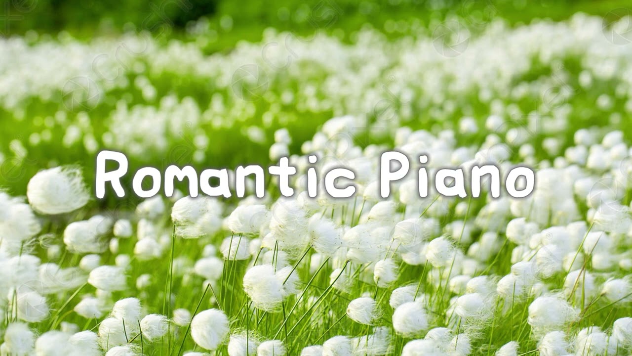 空氣帶著溫柔的浪漫之歌/空気は優しいロマンチックな歌を運んでいます/공기는 부드러운 낭만적인 노래를 실고 있습니다