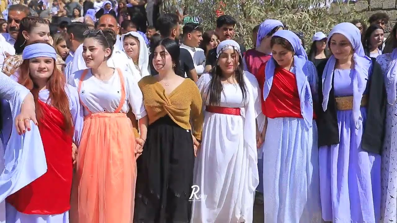 جمايا شيخ مند غرب  شمالى  ديلانا  ملاني  جزء 2            تصوي روني فيديو.     2025/4/25