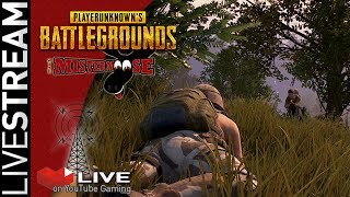 LiveStream: 5/23 PlayerUnknowns Battlegrounds | Squad action with Casketman and Crew