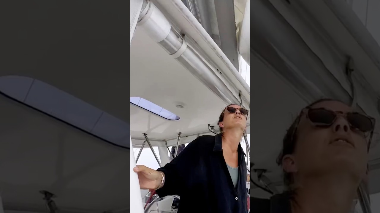 Our mainsail just broke… what the? ⛵️😬 #sailingfamily