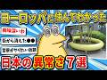 【2ch面白いスレ】ヨーロッパに7年住んだワイ、日本の異常なヤバさに気づいてしまったｗｗ【ゆっくり解説】